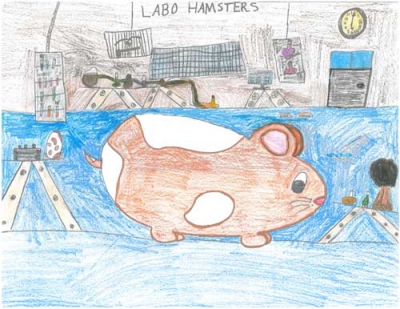 Les Hamster scientifiques (2015-2016)