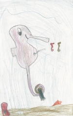 Les Hippocampes scientifiques (2012-2013)