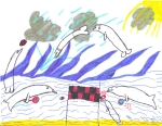 Les Bélugas actifs (2014-2015)